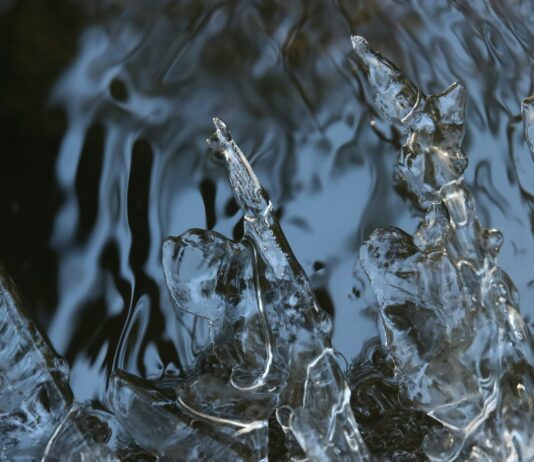 환절기의 건강 관리와 주의사항