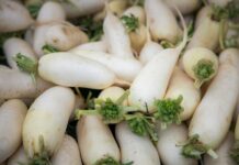 여름철 대비 노지채소 생육 상황 철저히 점검한다 white garlic on green leaves