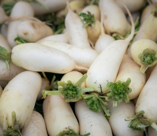 여름철 대비 노지채소 생육 상황 철저히 점검한다 white garlic on green leaves