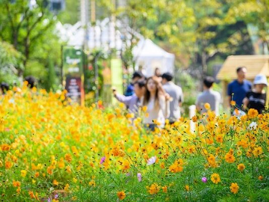 올가을, ‘고양’에서 꽃·예술·야경 유혹에 빠져 볼까
