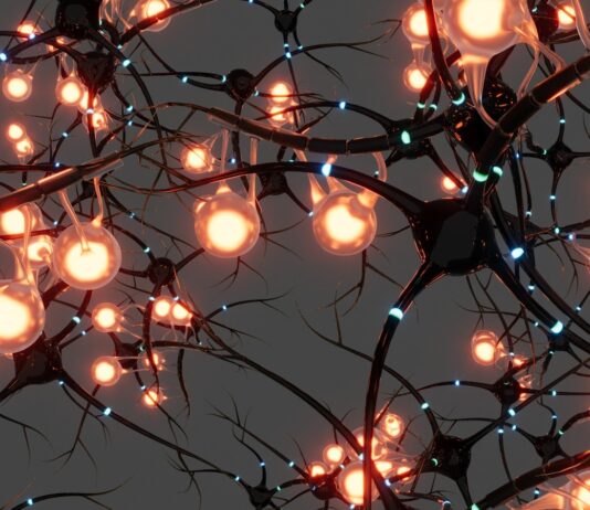 뇌 건강 지키는 생활습관, 일상 속 작은 변화가 중요하다 A bunch of lights that are on a tree