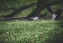 “하루 10분, 걷기 습관이 만드는 건강한 변화” shallow focus photography of person walking on road between grass