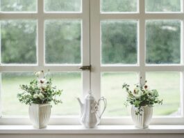 현대인의 일상 속 대체요법, 평범한 하루를 달라지게 white teapot and tow flower vases on windowpane