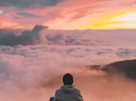 바쁜 일상 속 웰니스 문화, 작은 변화로 건강한 삶 만들기 man sitting on cliff