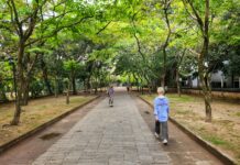 ‘걷기 열풍’에 동참하는 한국인들, 일상 속에서 건강 실천하는 방법은? Two people walking down a path in a park