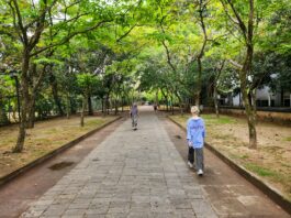 ‘걷기 열풍’에 동참하는 한국인들, 일상 속에서 건강 실천하는 방법은? Two people walking down a path in a park
