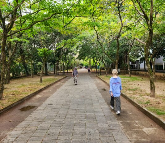 ‘걷기 열풍’에 동참하는 한국인들, 일상 속에서 건강 실천하는 방법은? Two people walking down a path in a park