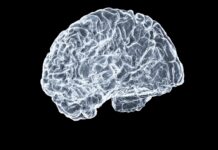 “뇌 건강, 작은 습관부터 시작하세요… 걷기·컬러푸드·새로운 취미가 키워드” a close up of a human brain on a black background