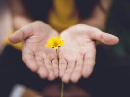 ‘마음 챙김 걷기’, 일상 속 스트레스 완화 트렌드로 떠오르다 selective focus photography of woman holding yellow petaled flowers