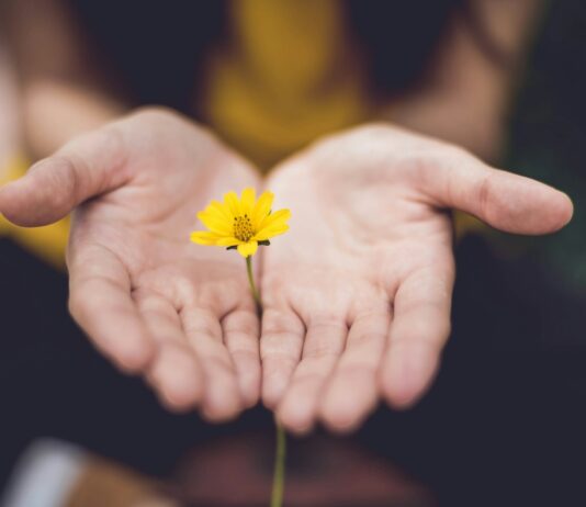 ‘마음 챙김 걷기’, 일상 속 스트레스 완화 트렌드로 떠오르다 selective focus photography of woman holding yellow petaled flowers