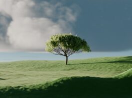 “마음 챙김, 바쁜 일상 속 작은 쉼표…실생활 속 실천법 집중 조명” A single tree on a vibrant green rolling hill.