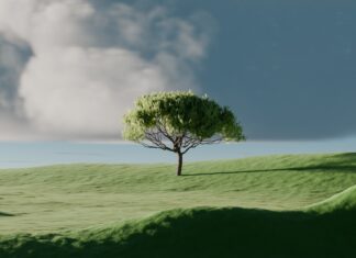 “마음 챙김, 바쁜 일상 속 작은 쉼표…실생활 속 실천법 집중 조명” A single tree on a vibrant green rolling hill.