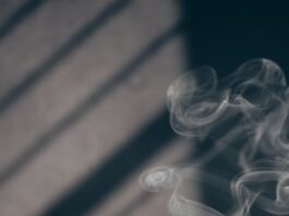 일상에 스며드는 대체요법, 건강 습관으로 실천하기 white smoke on brown wooden table